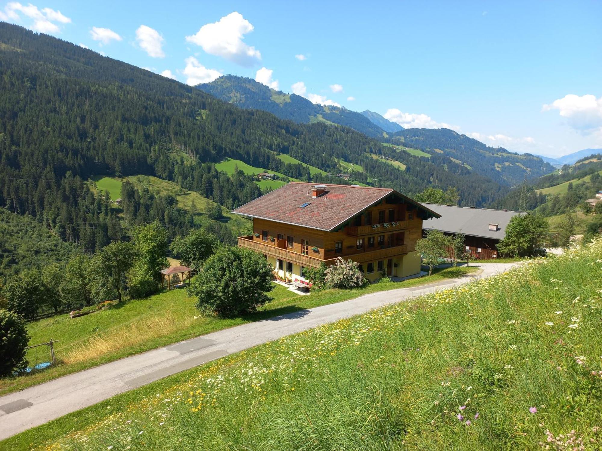 Landhof Kreuzsalgut Apartment Wagrain Exterior photo